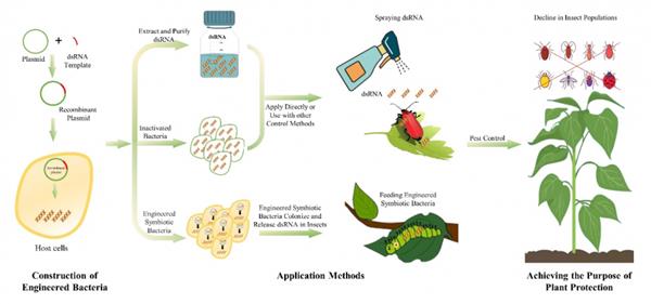 中國新型農藥的先行者 植生優谷穩步推進國產RNAi生物農藥技術研發