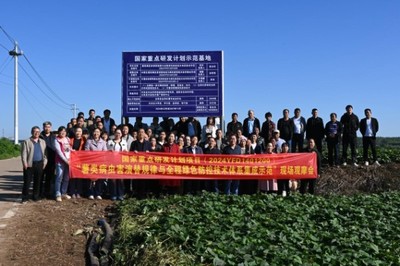 綠色防控，“薯”來運轉——河南省農科院植保所召開甘薯病蟲害綠色防控培訓觀摩會