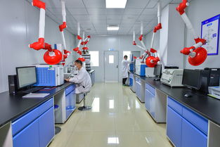 斯坦德檢測(cè)再次榮獲青島市“專精特新”稱號(hào)，生物農(nóng)藥技術(shù)研發(fā)成果獲肯定