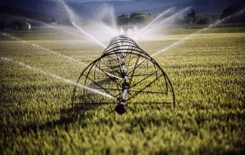 生物育種與數(shù)字農(nóng)業(yè)雙翼齊飛 引領(lǐng)現(xiàn)代農(nóng)業(yè)科技新革命